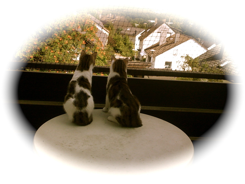 Merle und Franz auf dem Balkon